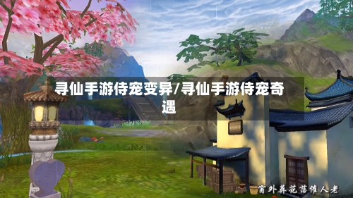 寻仙手游侍宠变异/寻仙手游侍宠奇遇-第2张图片