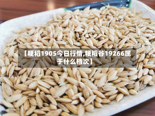 【粳稻1905今日行情,粳稻谷19266属于什么档次】-第2张图片