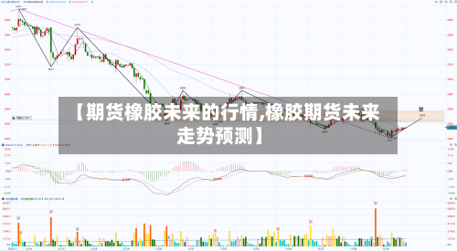 【期货橡胶未来的行情,橡胶期货未来走势预测】