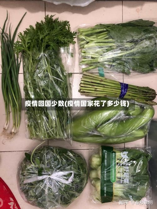 疫情回国少数(疫情国家花了多少钱)