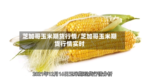 芝加哥玉米期货行情/芝加哥玉米期货行情实时
