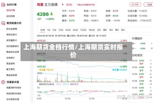 上海期货全档行情/上海期货实时报价