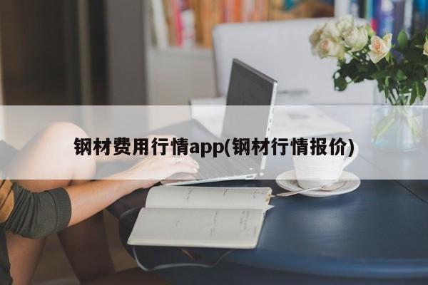 钢材费用行情app(钢材行情报价)