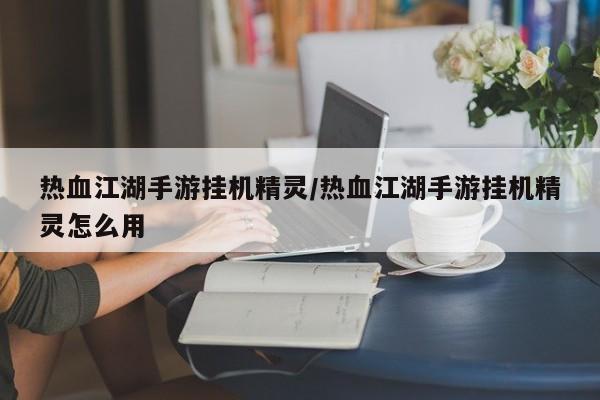 热血江湖手游挂机精灵/热血江湖手游挂机精灵怎么用