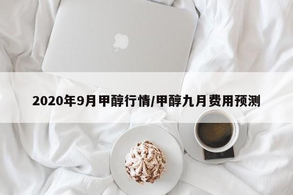 2020年9月甲醇行情/甲醇九月费用预测