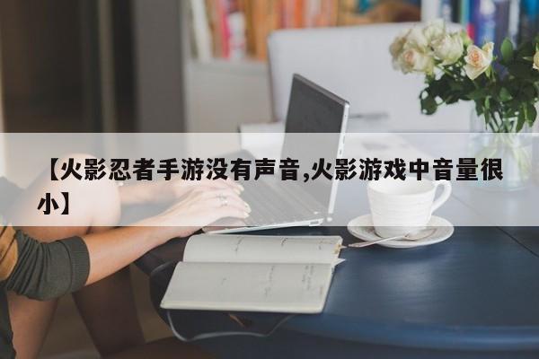 【火影忍者手游没有声音,火影游戏中音量很小】