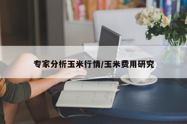 专家分析玉米行情/玉米费用研究