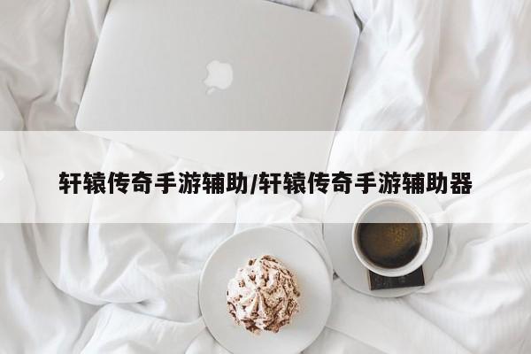 轩辕传奇手游辅助/轩辕传奇手游辅助器