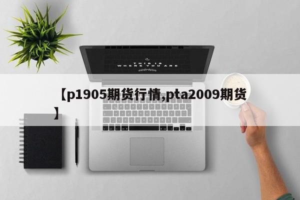 【p1905期货行情,pta2009期货】