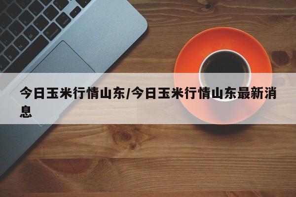 今日玉米行情山东/今日玉米行情山东最新消息