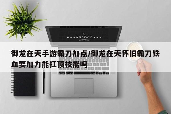 御龙在天手游霸刀加点/御龙在天怀旧霸刀铁血要加力能扛顶技能吗