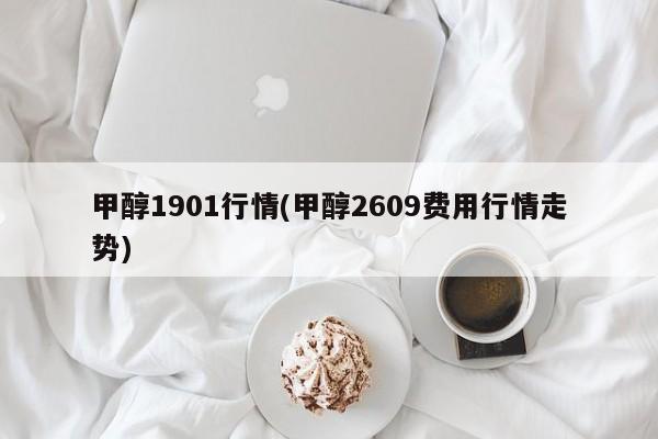 甲醇1901行情(甲醇2609费用行情走势)