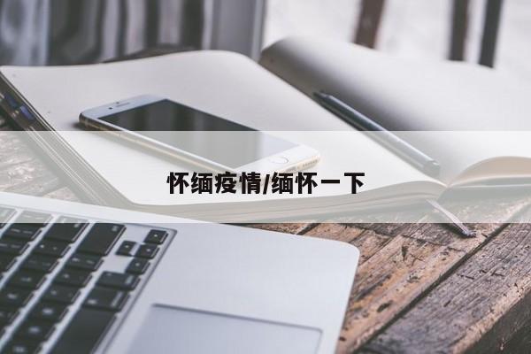 怀缅疫情/缅怀一下