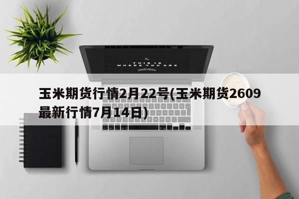 玉米期货行情2月22号(玉米期货2609最新行情7月14日)