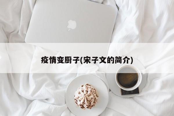 疫情变厨子(宋子文的简介)