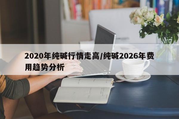 2020年纯碱行情走高/纯碱2026年费用趋势分析