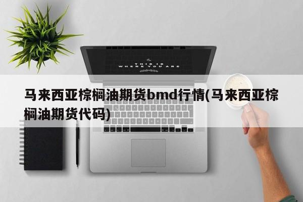 马来西亚棕榈油期货bmd行情(马来西亚棕榈油期货代码)