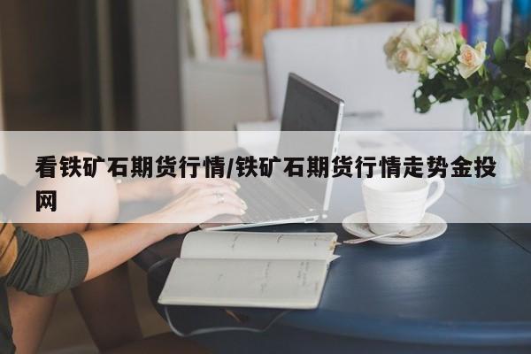 看铁矿石期货行情/铁矿石期货行情走势金投网