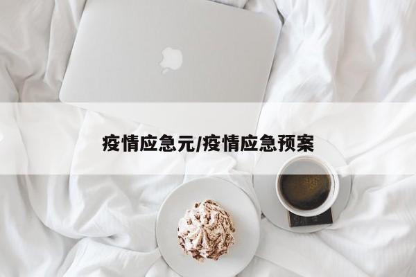 疫情应急元/疫情应急预案