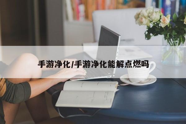 手游净化/手游净化能解点燃吗