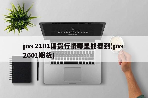 pvc2101期货行情哪里能看到(pvc2601期货)
