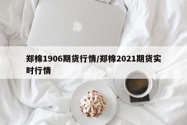郑棉1906期货行情/郑棉2021期货实时行情