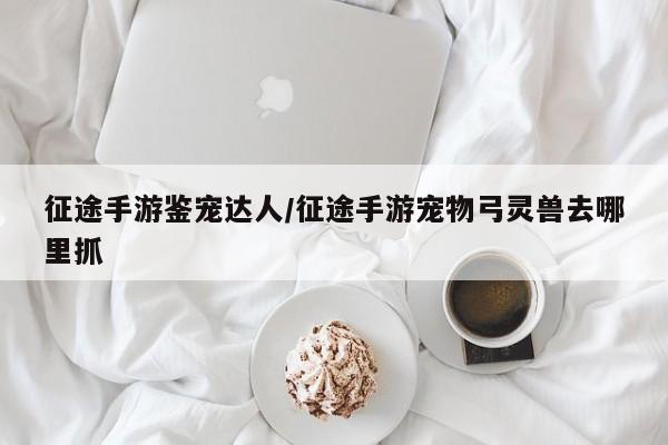 征途手游鉴宠达人/征途手游宠物弓灵兽去哪里抓