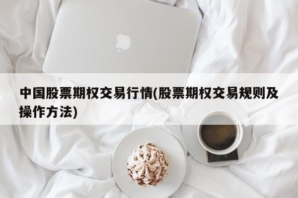 中国股票期权交易行情(股票期权交易规则及操作方法)