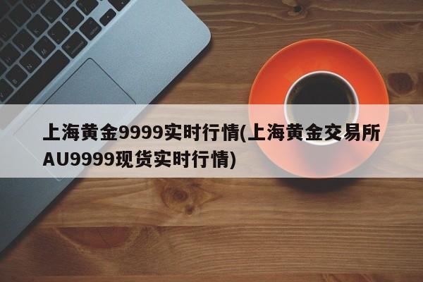 上海黄金9999实时行情(上海黄金交易所AU9999现货实时行情)
