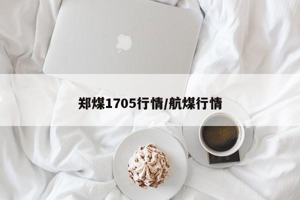 郑煤1705行情/航煤行情