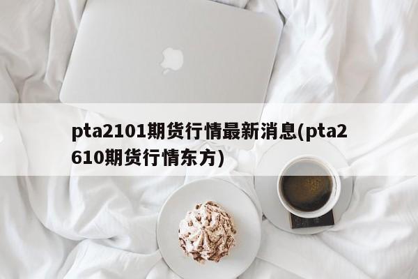pta2101期货行情最新消息(pta2610期货行情东方)